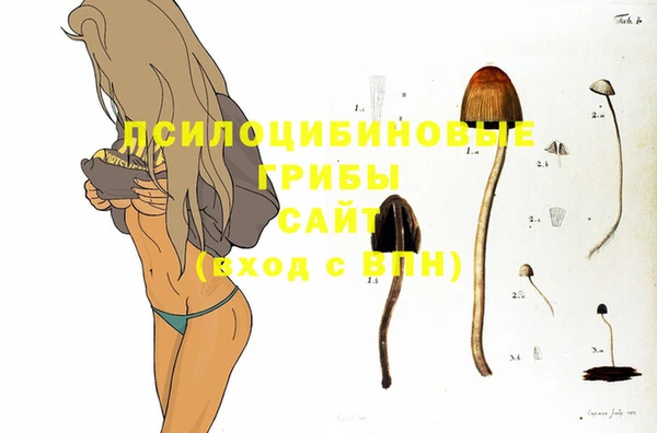 экстази Вязники