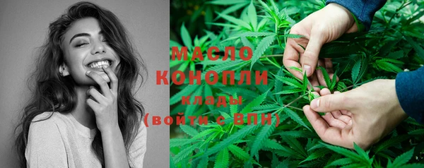 прущая мука Вяземский